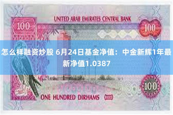 怎么样融资炒股 6月24日基金净值：中金新辉1年最新净值1.0387