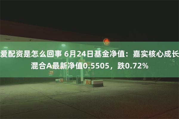 爱配资是怎么回事 6月24日基金净值：嘉实核心成长混合A最新净值0.5505，跌0.72%