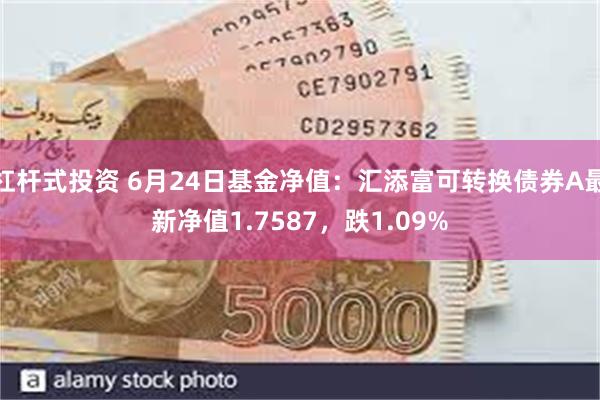 杠杆式投资 6月24日基金净值：汇添富可转换债券A最新净值1.7587，跌1.09%