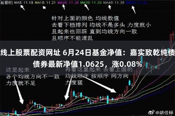 线上股票配资网址 6月24日基金净值：嘉实致乾纯债债券最新净值1.0625，涨0.08%