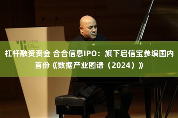 杠杆融资资金 合合信息IPO：旗下启信宝参编国内首份《数据产业图谱（2024）》