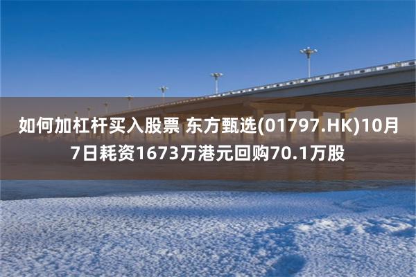 如何加杠杆买入股票 东方甄选(01797.HK)10月7日耗资1673万港元回购70.1万股