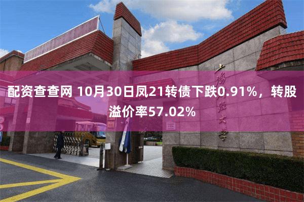 配资查查网 10月30日凤21转债下跌0.91%，转股溢价率57.02%