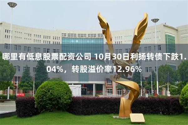 哪里有低息股票配资公司 10月30日利扬转债下跌1.04%，转股溢价率12.96%