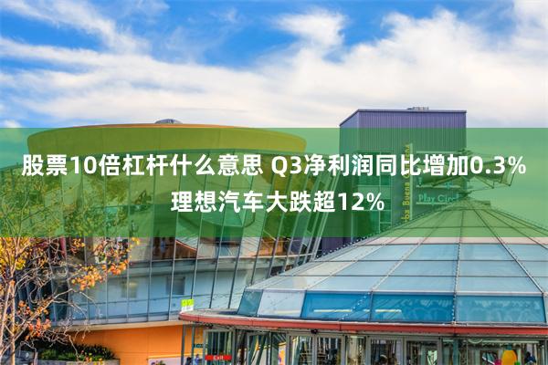 股票10倍杠杆什么意思 Q3净利润同比增加0.3% 理想汽车大跌超12%