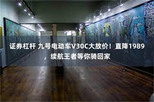 证券杠杆 九号电动车V30C大放价！直降1989，续航王者等你骑回家