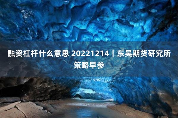 融资杠杆什么意思 20221214｜东吴期货研究所策略早参