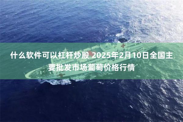 什么软件可以杠杆炒股 2025年2月10日全国主要批发市场葡萄价格行情