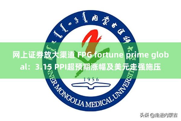 网上证劵放大渠道 FPG fortune prime global：3.15 PPI超预期涨幅及美元走强施压